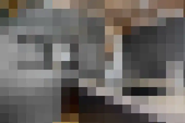 Hogewoerd 46 A 3 Leiden thumbnail 14