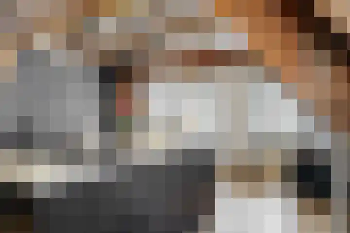 Hogewoerd 46 A 3 Leiden thumbnail 15