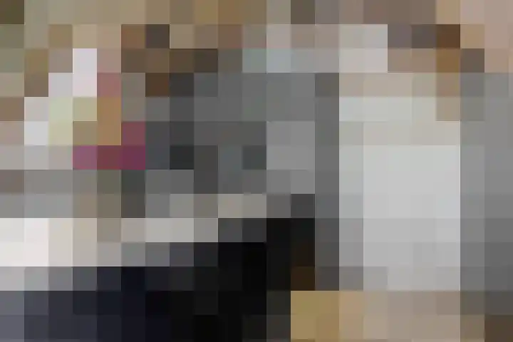 Hogewoerd 46 A 3 Leiden thumbnail 17