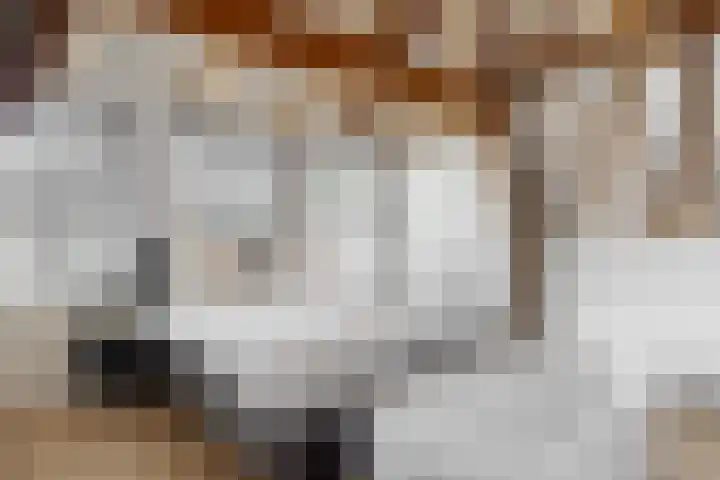 Hogewoerd 46 A 3 Leiden thumbnail 18