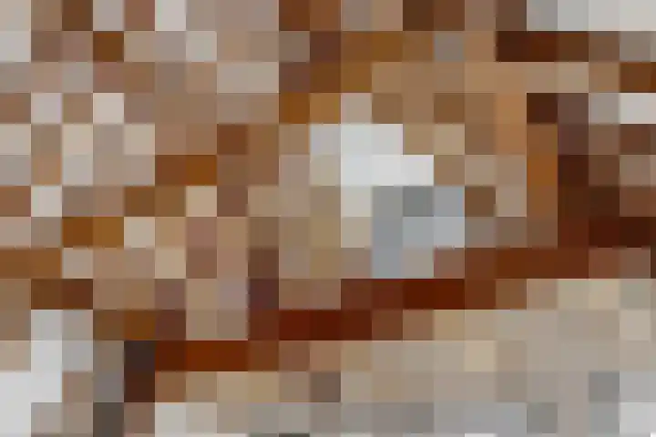 Hogewoerd 46 A 3 Leiden thumbnail 21