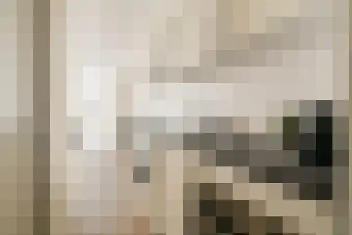 Hogewoerd 46 Leiden thumbnail 13