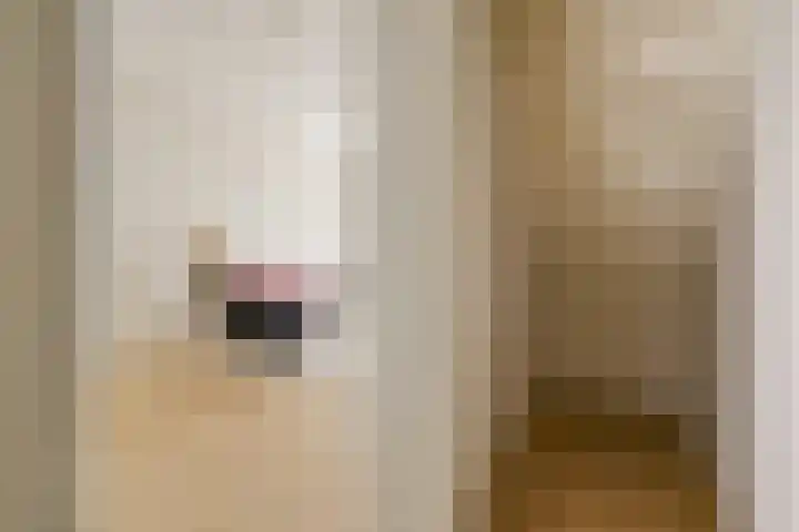 Hogewoerd 46 Leiden thumbnail 14