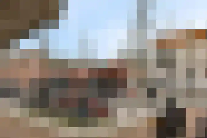 Hogewoerd 46 Leiden thumbnail 20