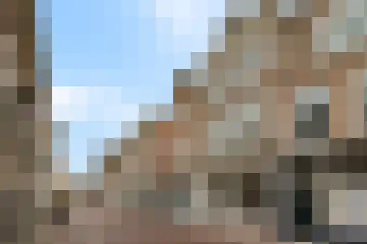 Hogewoerd 46 Leiden thumbnail 5