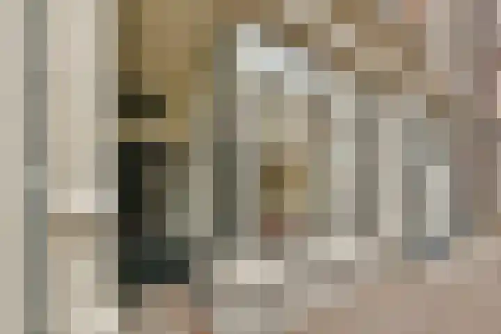 Hogewoerd 46 Leiden thumbnail 7