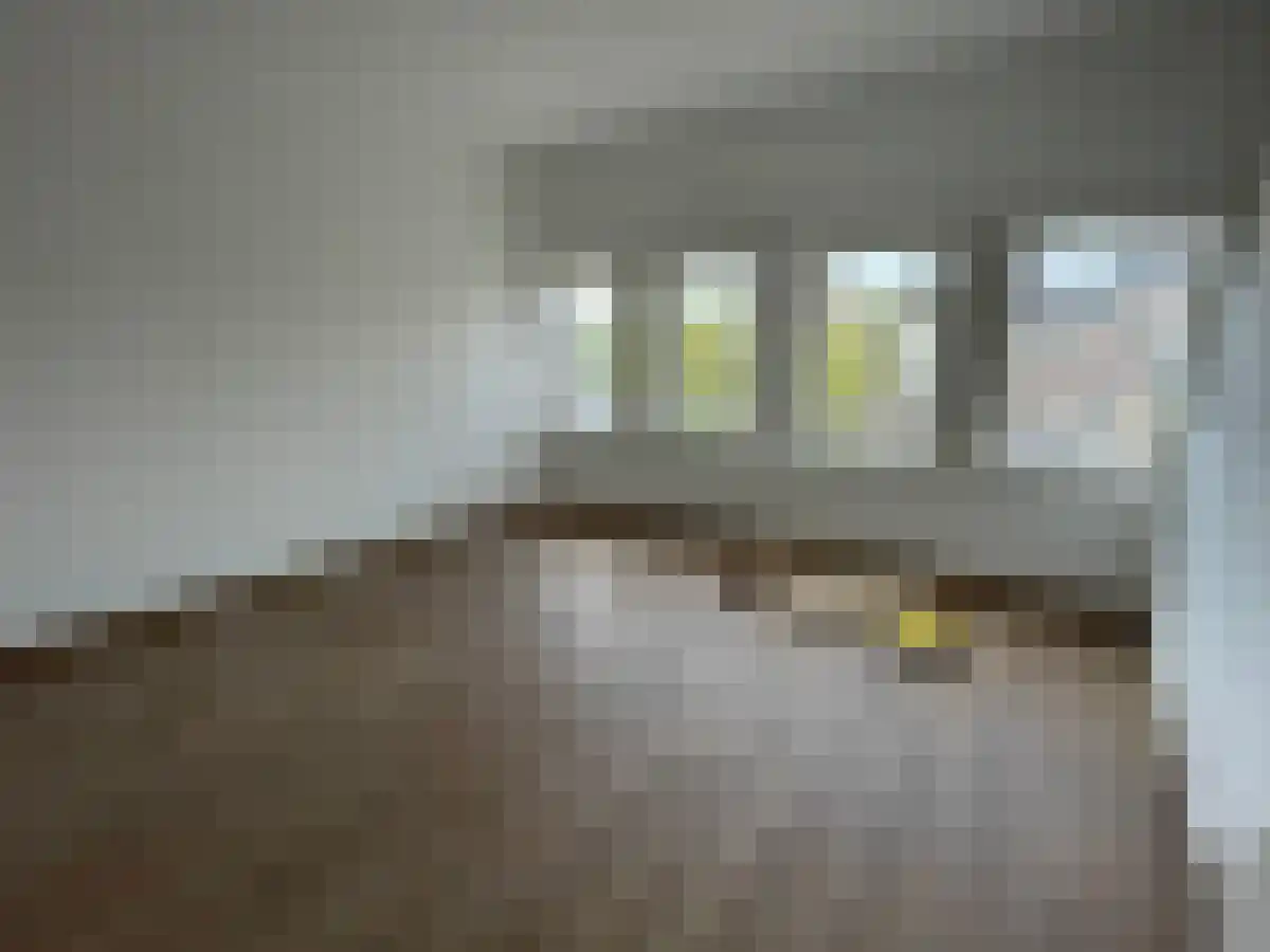 Hogewoerd 7 Leiden thumbnail 4