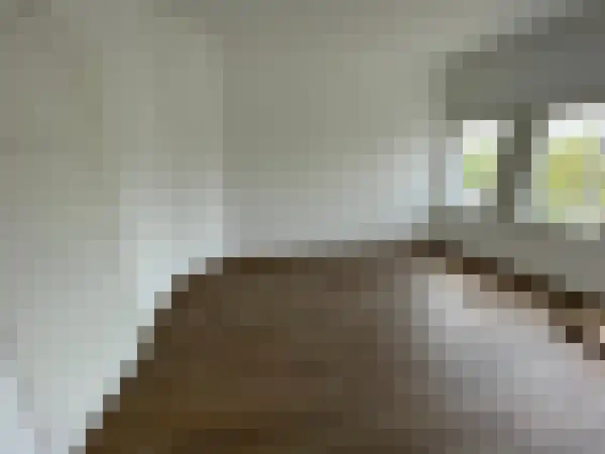 Hogewoerd 7 Leiden thumbnail 5
