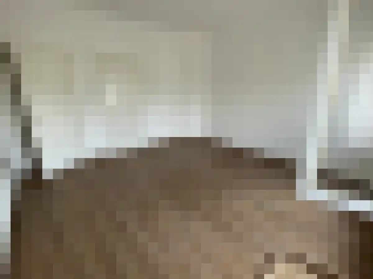 Hogewoerd 7 Leiden thumbnail 6