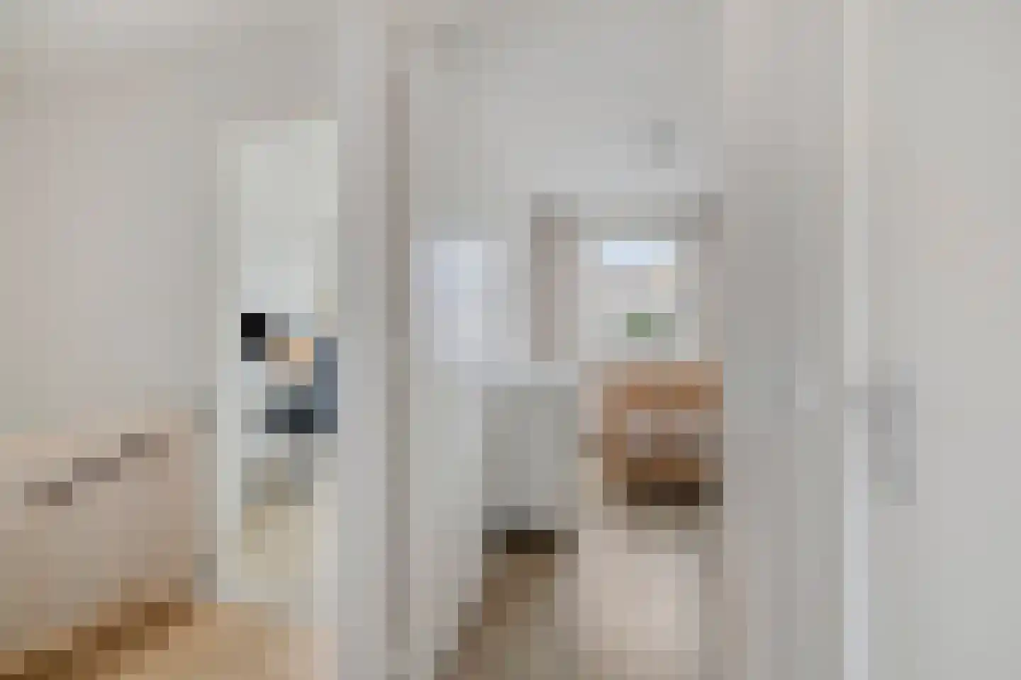 Hogewoerd 7 Woerden thumbnail 18