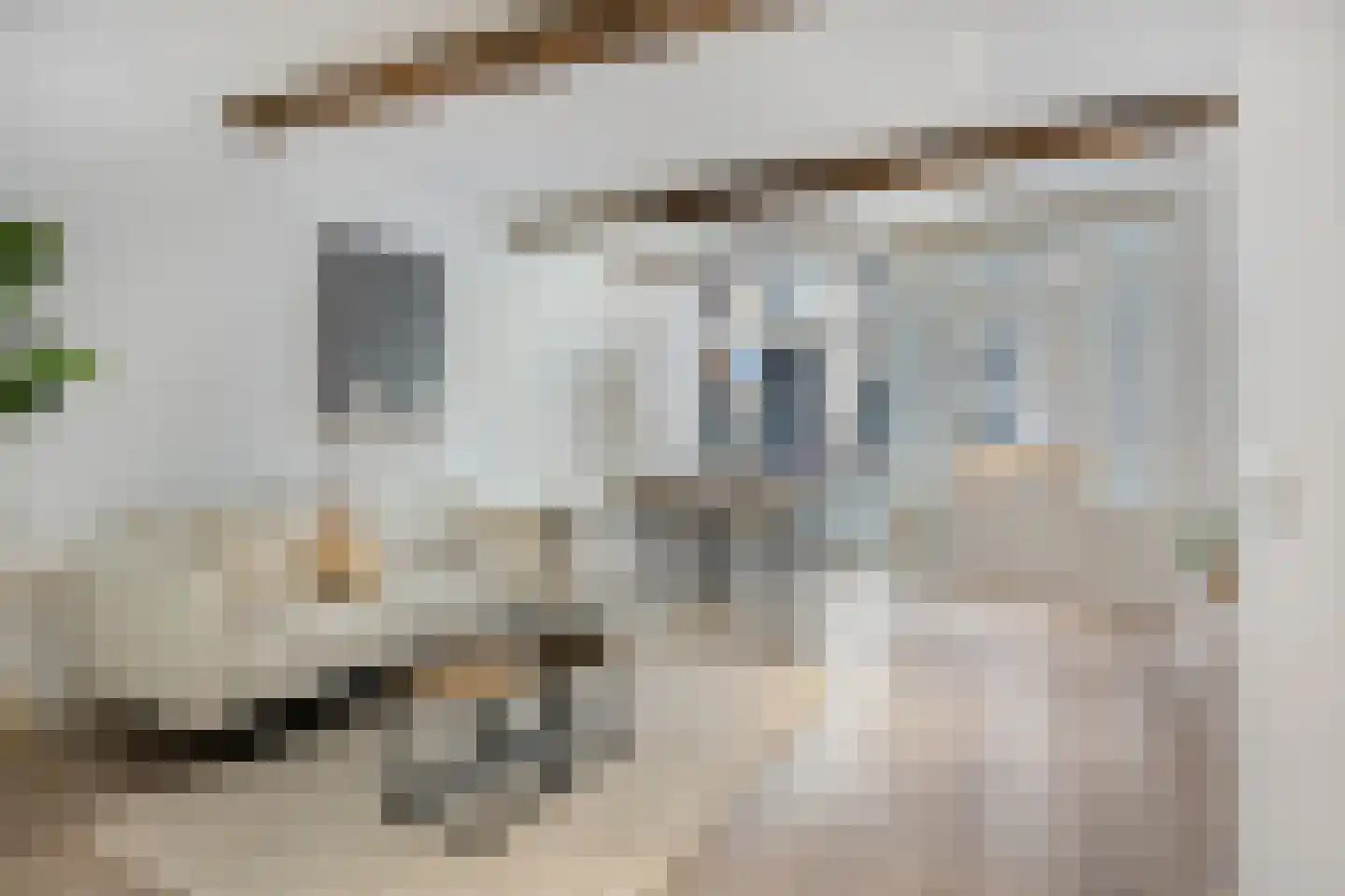 Hogewoerd 97 A Leiden thumbnail 16