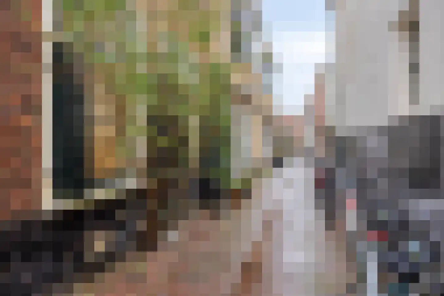 Hogewoerd 97 A Leiden thumbnail 22