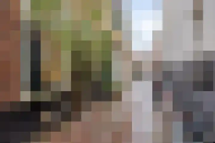 Hogewoerd 97 A Leiden thumbnail 22
