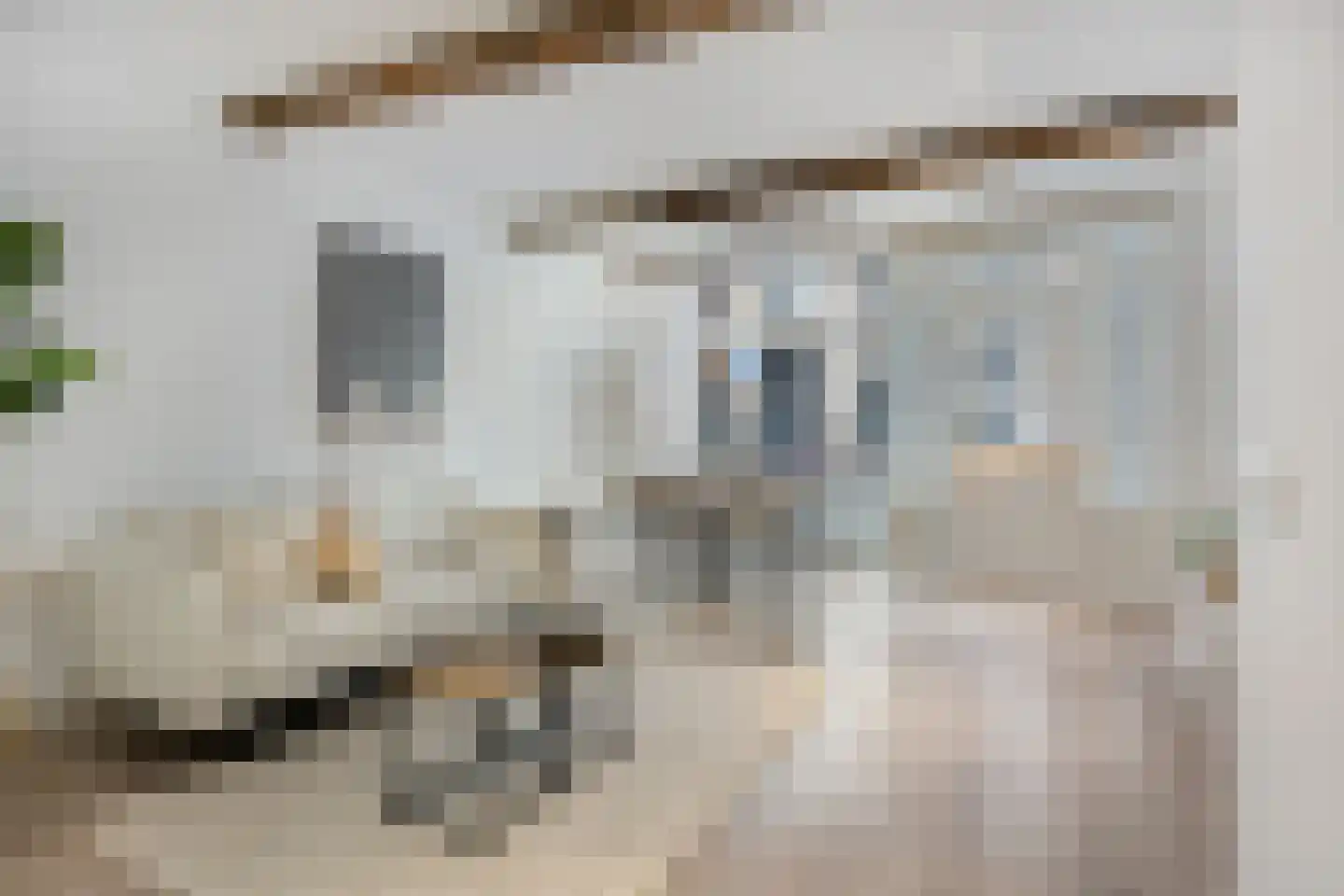 Hogewoerd 97 A Leiden thumbnail 4