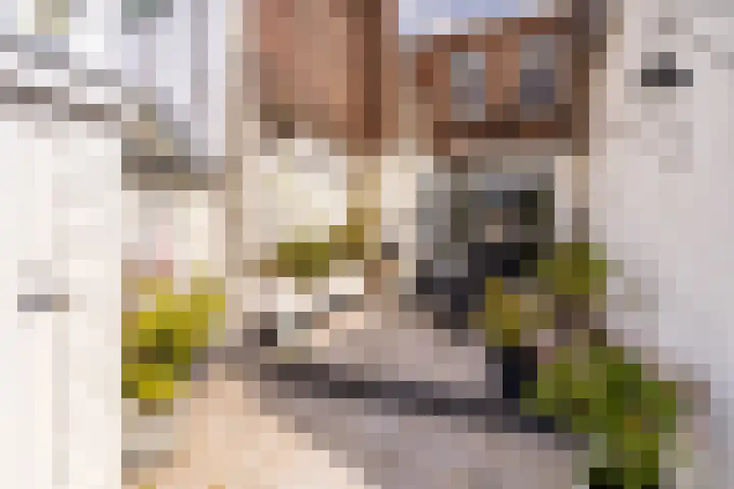 Hogewoerd 99 Leiden thumbnail 9