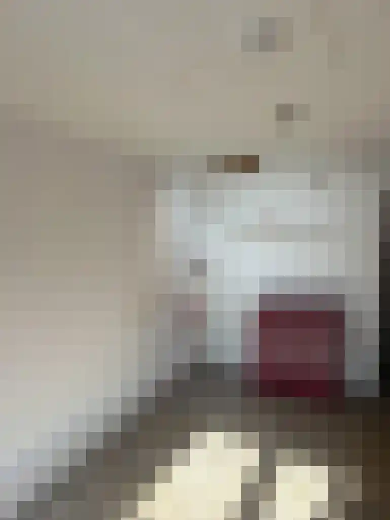 Hogewoerd Leiden thumbnail 6