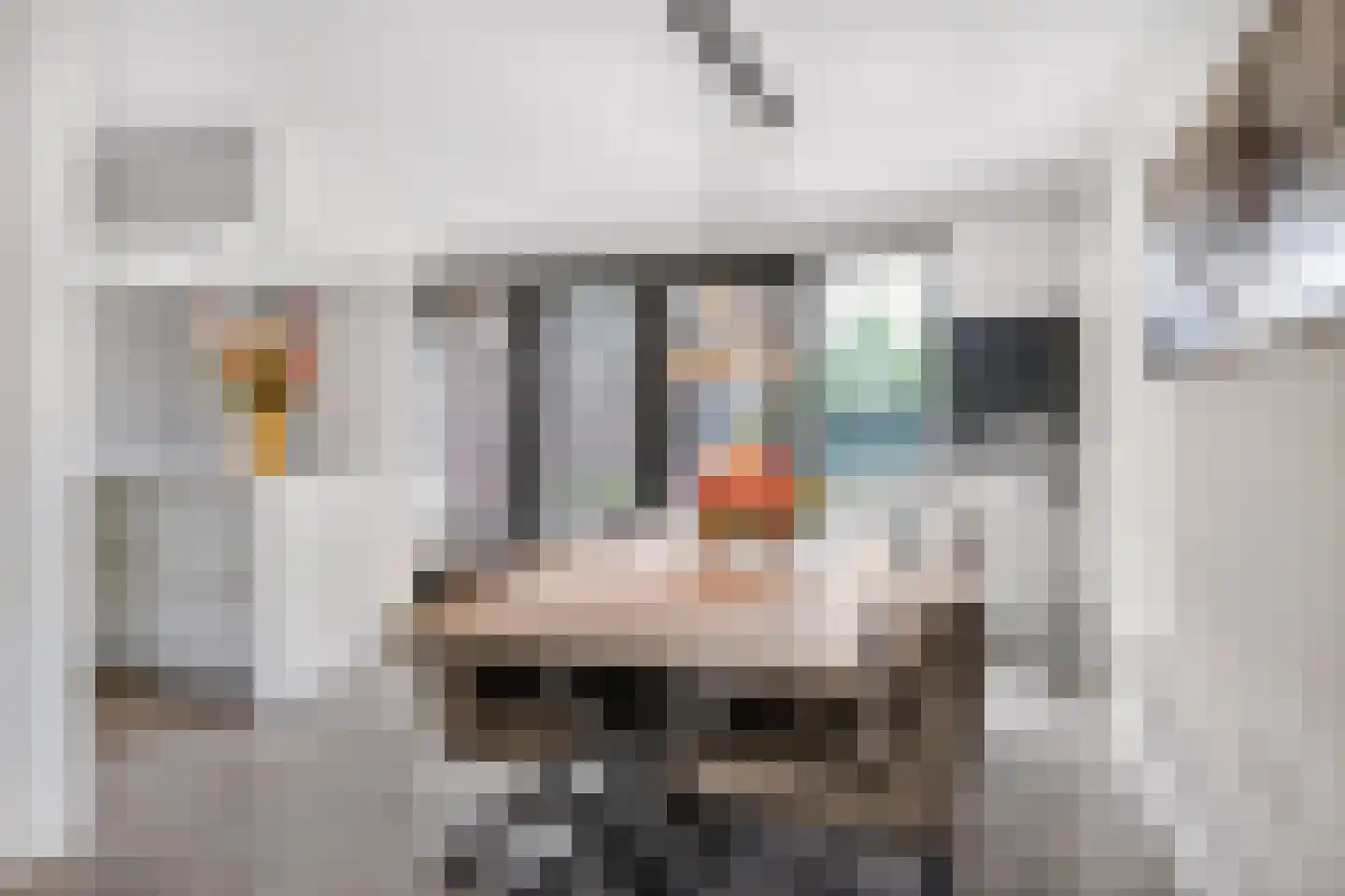 Hogewoud 5 Ede thumbnail 13