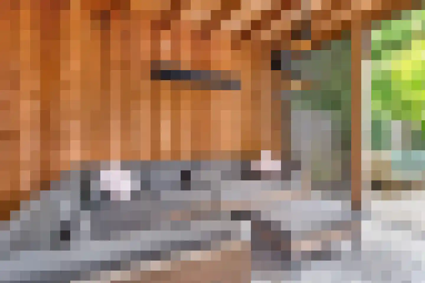 Hogewoud 5 Ede thumbnail 56