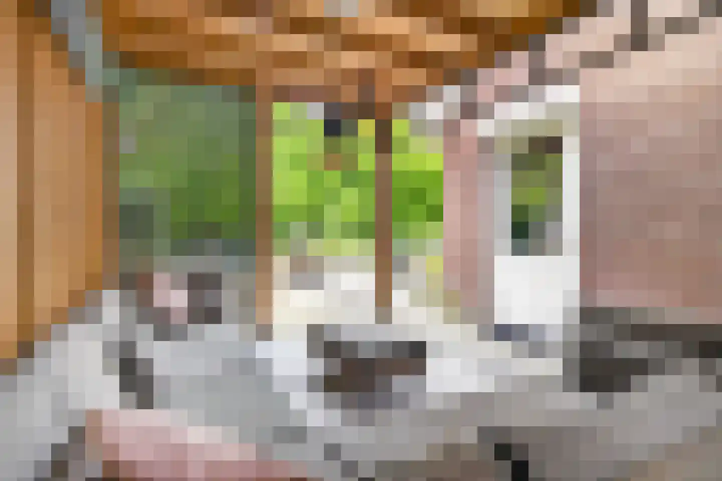 Hogewoud 5 Ede thumbnail 57
