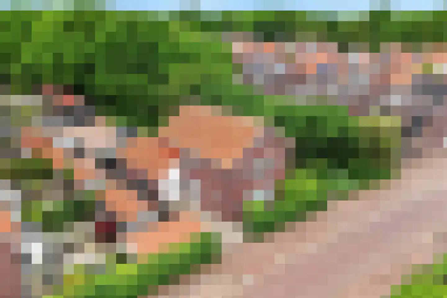 Hogewoud 5 Ede thumbnail 70