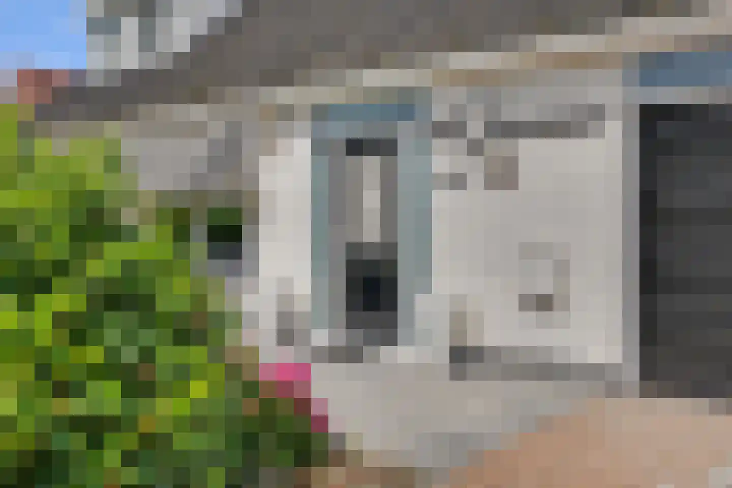 Hogezoom 105 a Renesse thumbnail 11