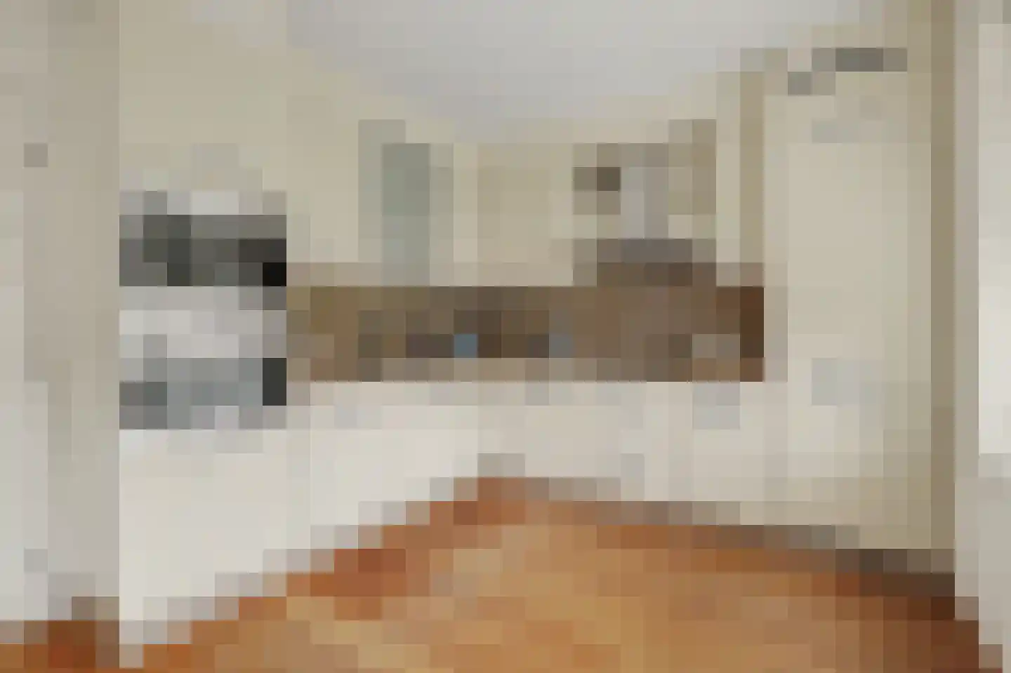 Hogezoom 105 a Renesse thumbnail 19
