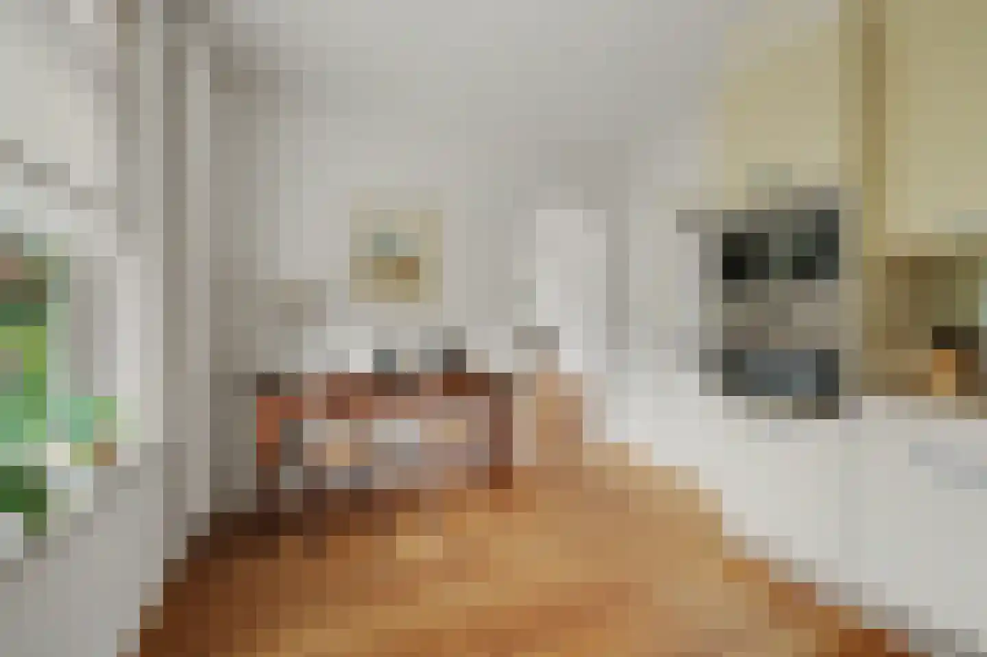 Hogezoom 105 a Renesse thumbnail 20