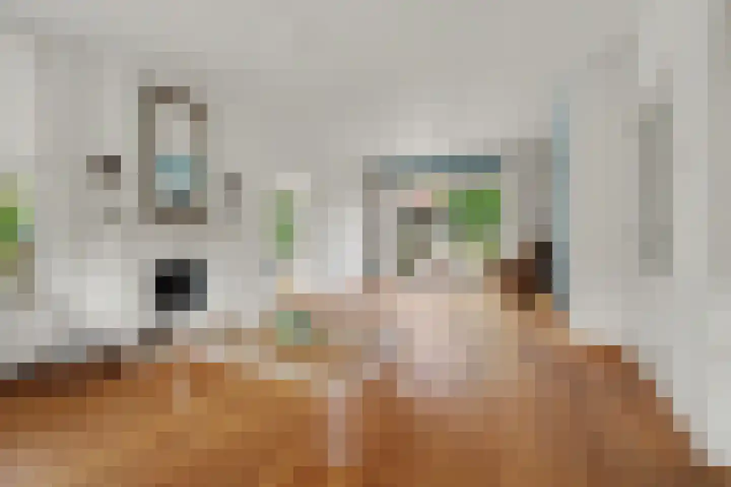 Hogezoom 105 a Renesse thumbnail 23