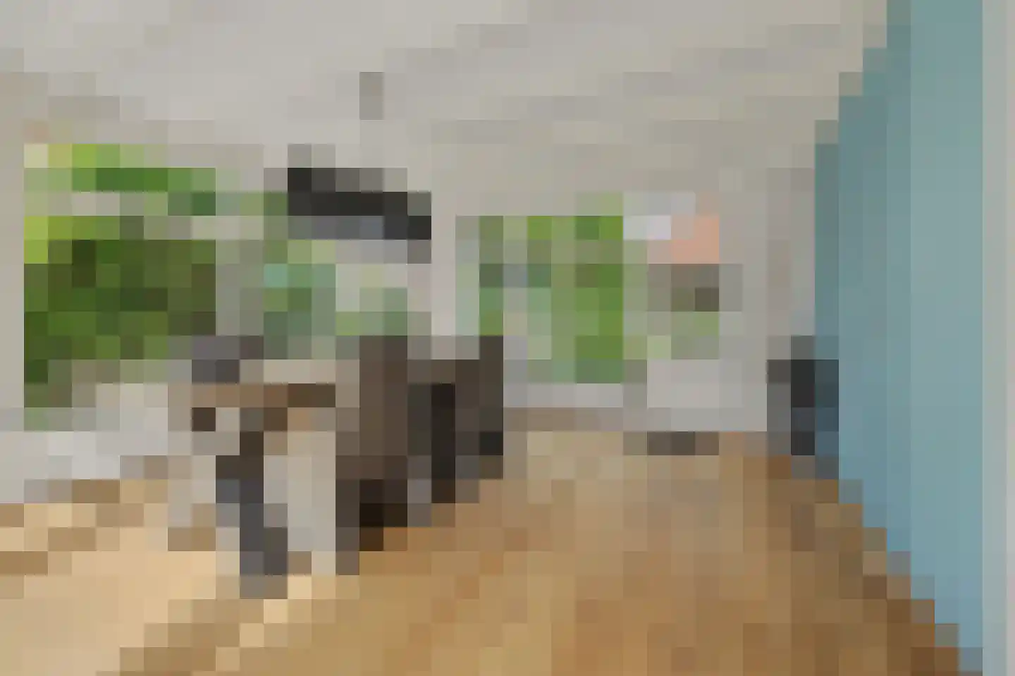 Hogezoom 105 a Renesse thumbnail 26