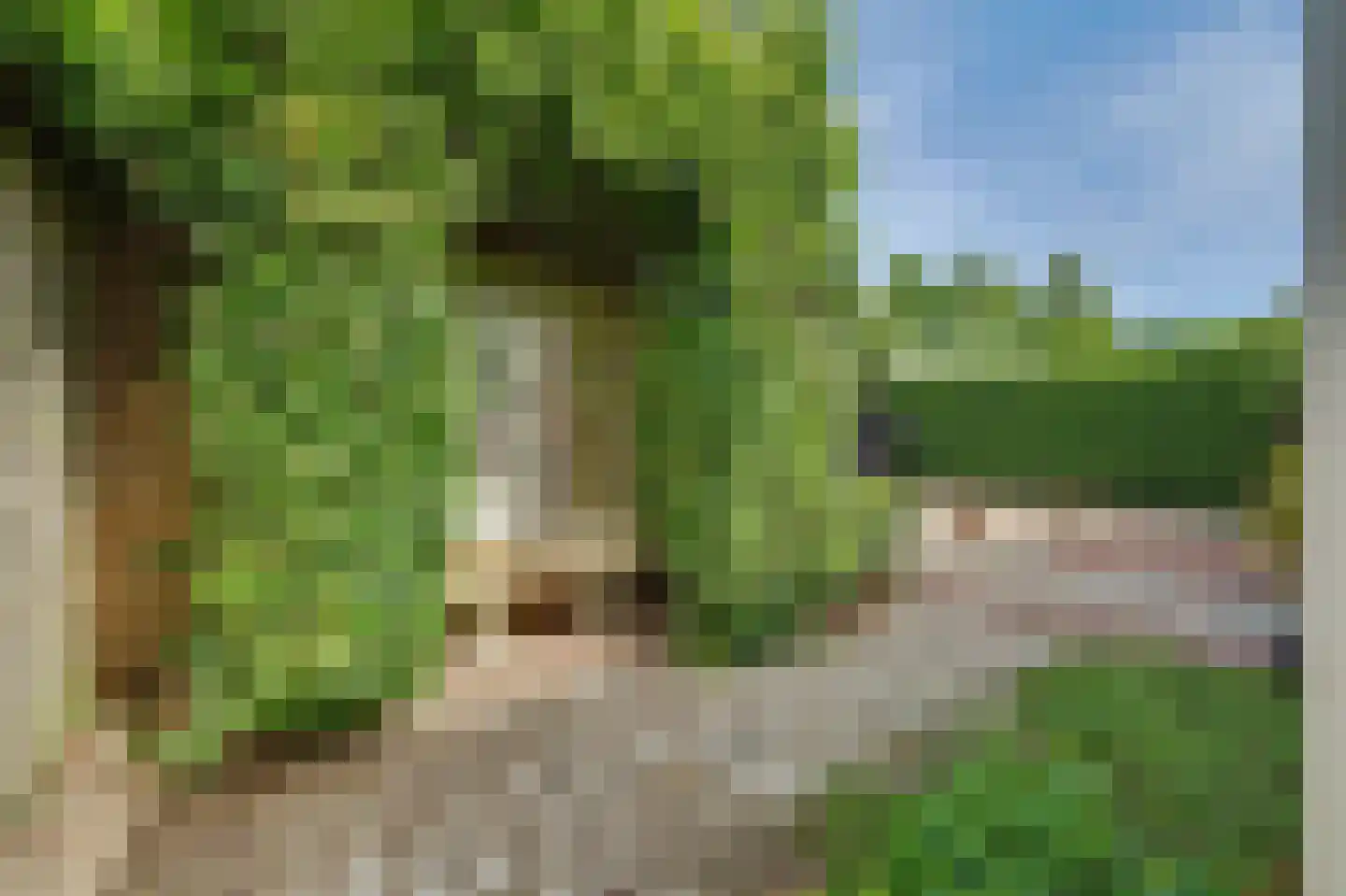Hogezoom 105 a Renesse thumbnail 31