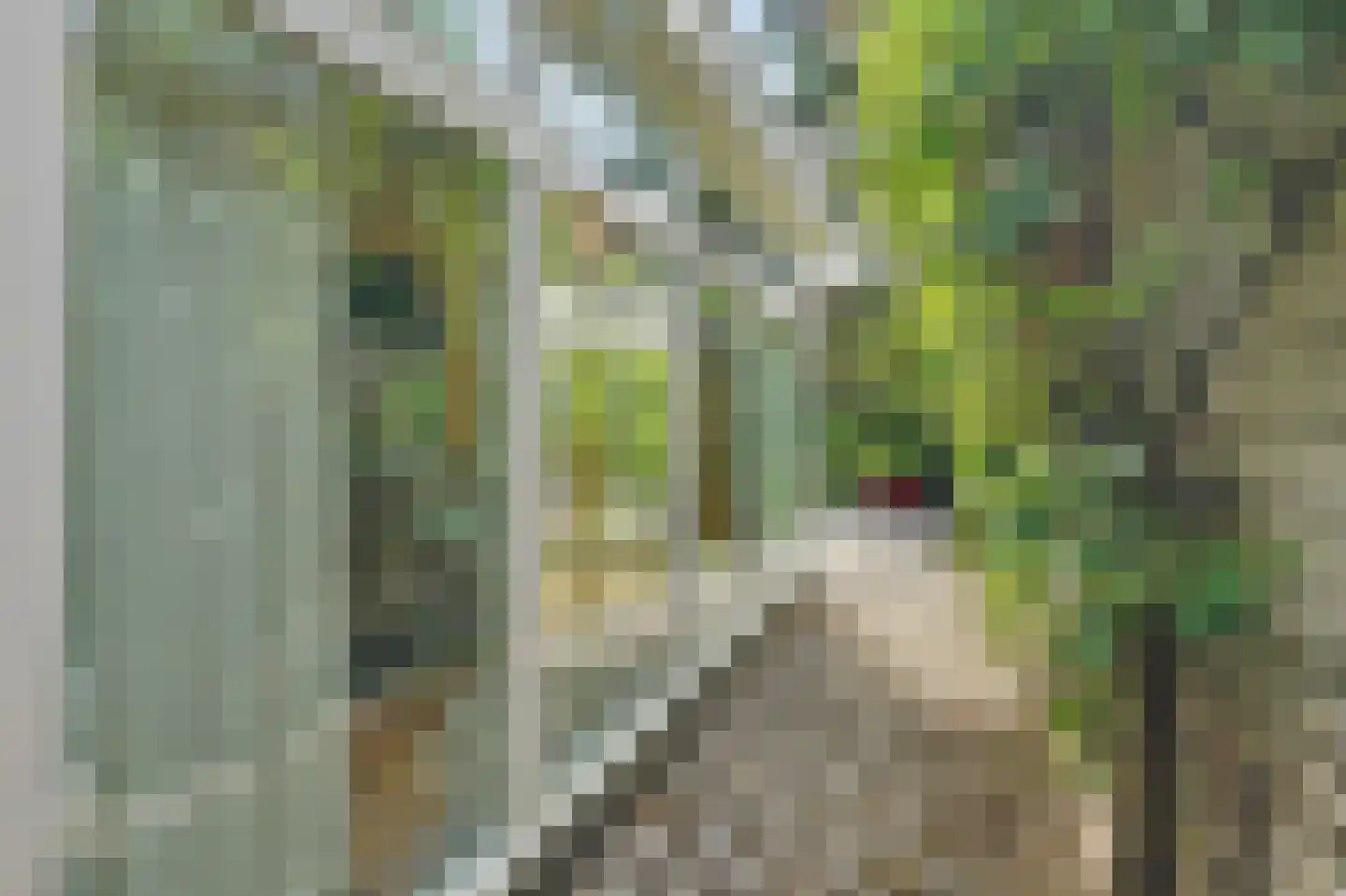 Hogezoom 105 a Renesse thumbnail 32