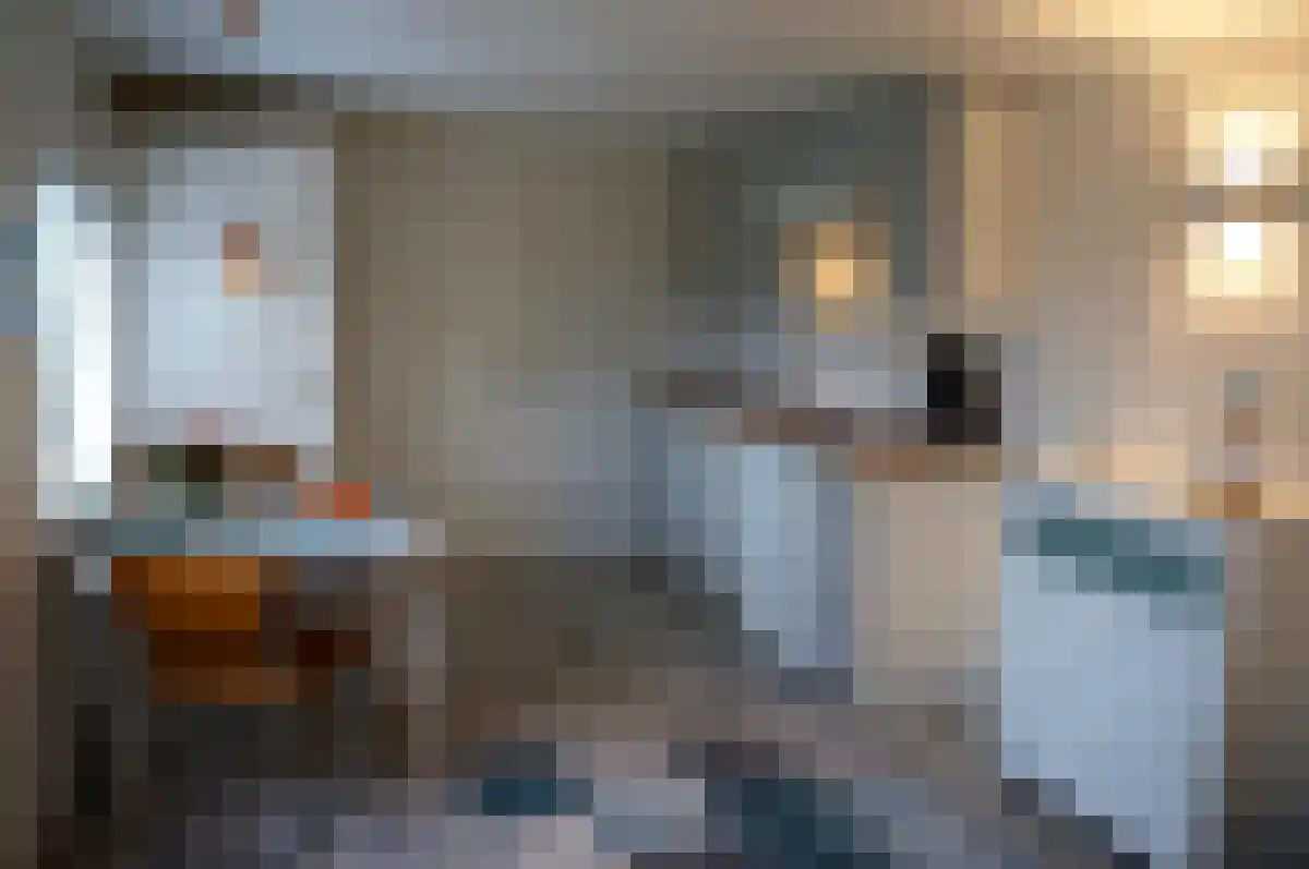 Hogezoom 105 a Renesse thumbnail 35