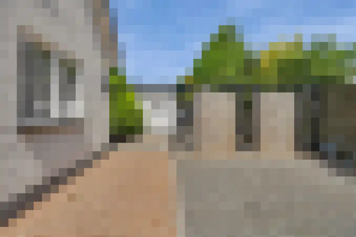Hogezoom 105 a Renesse thumbnail 38