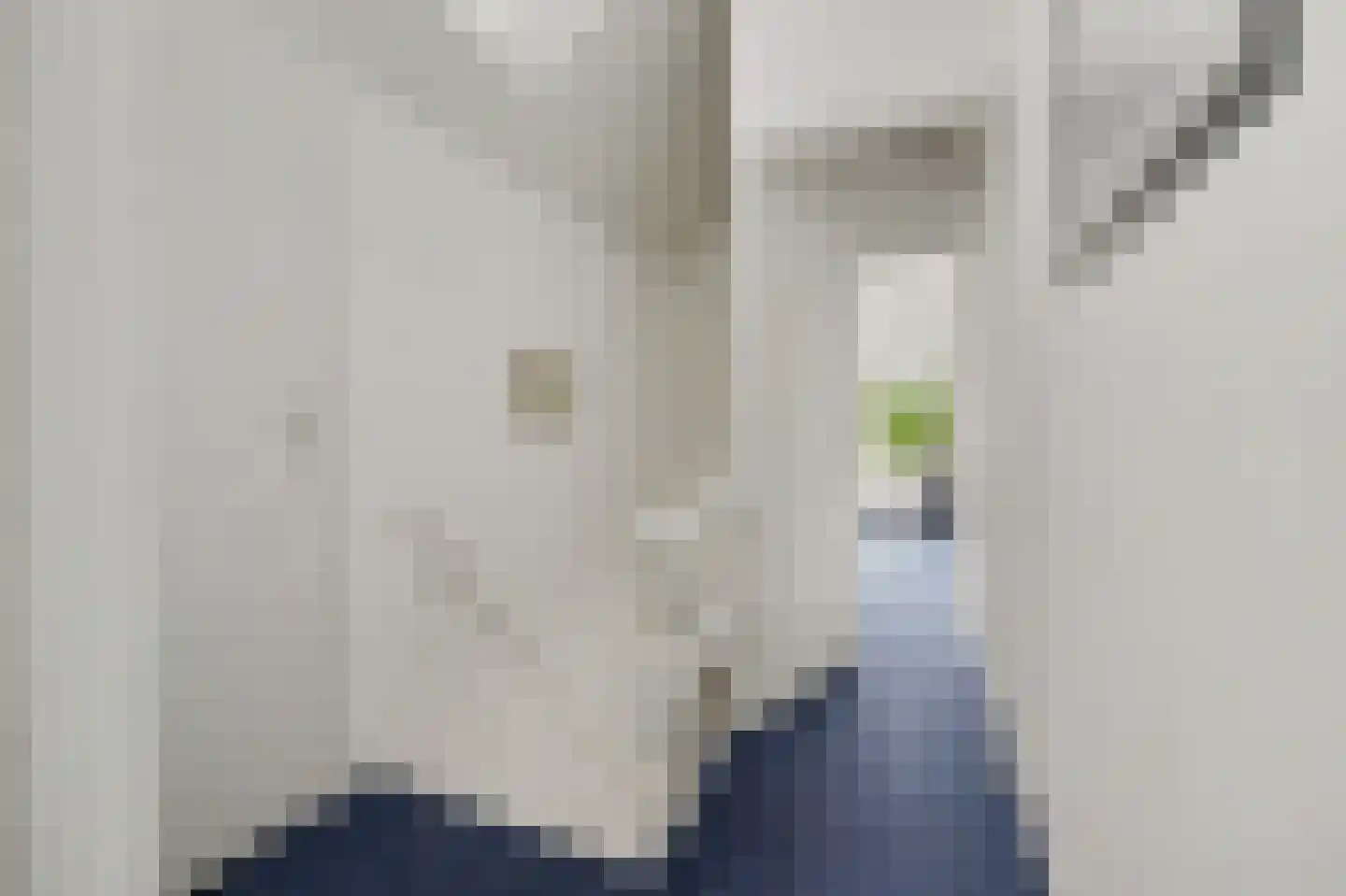 Hogezoom 105 a Renesse thumbnail 40