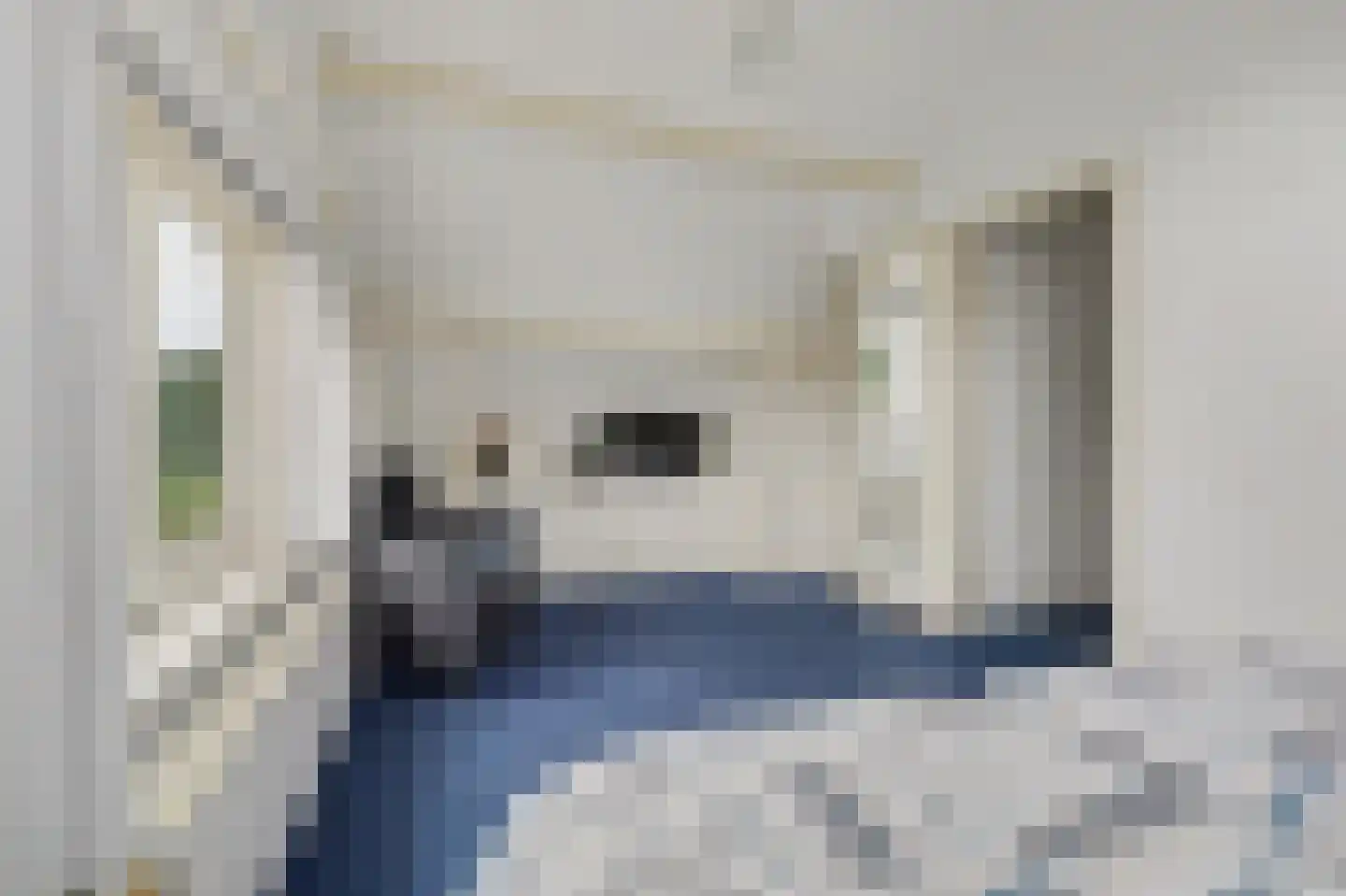 Hogezoom 105 a Renesse thumbnail 42
