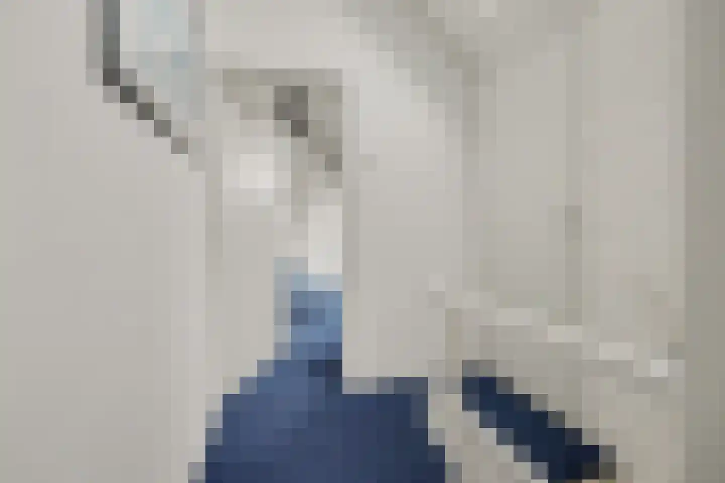 Hogezoom 105 a Renesse thumbnail 44