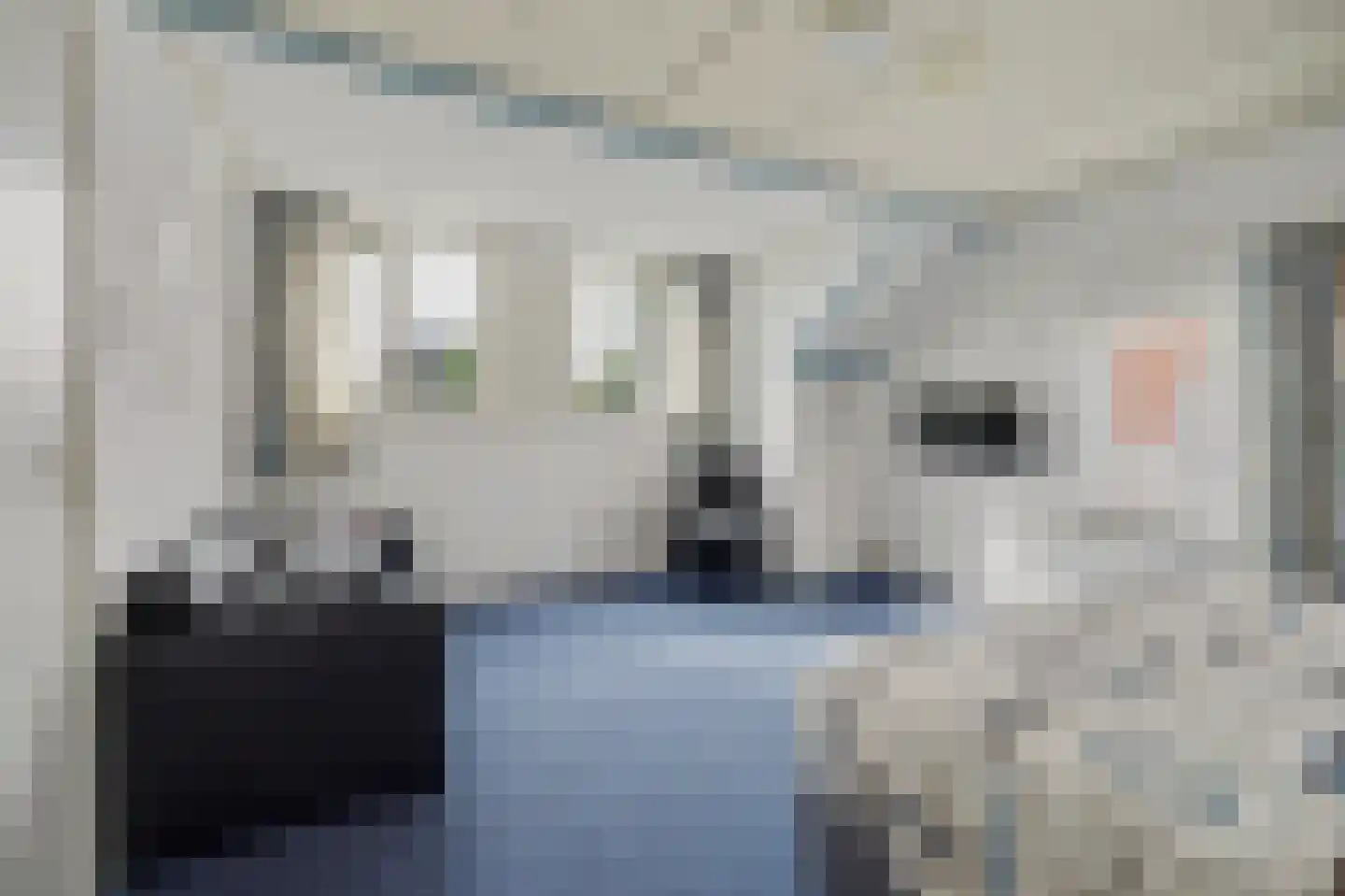 Hogezoom 105 a Renesse thumbnail 49