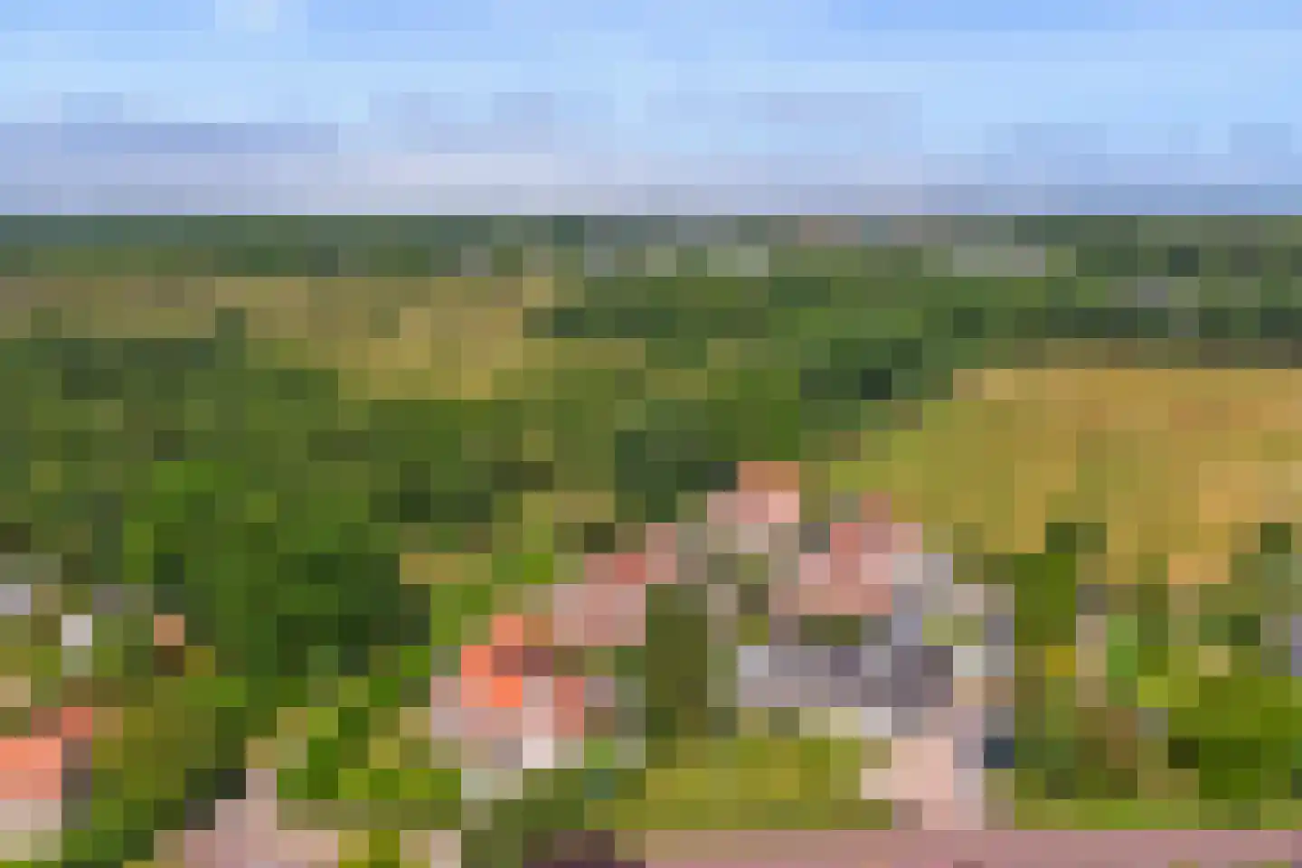 Hogezoom 105 a Renesse thumbnail 53