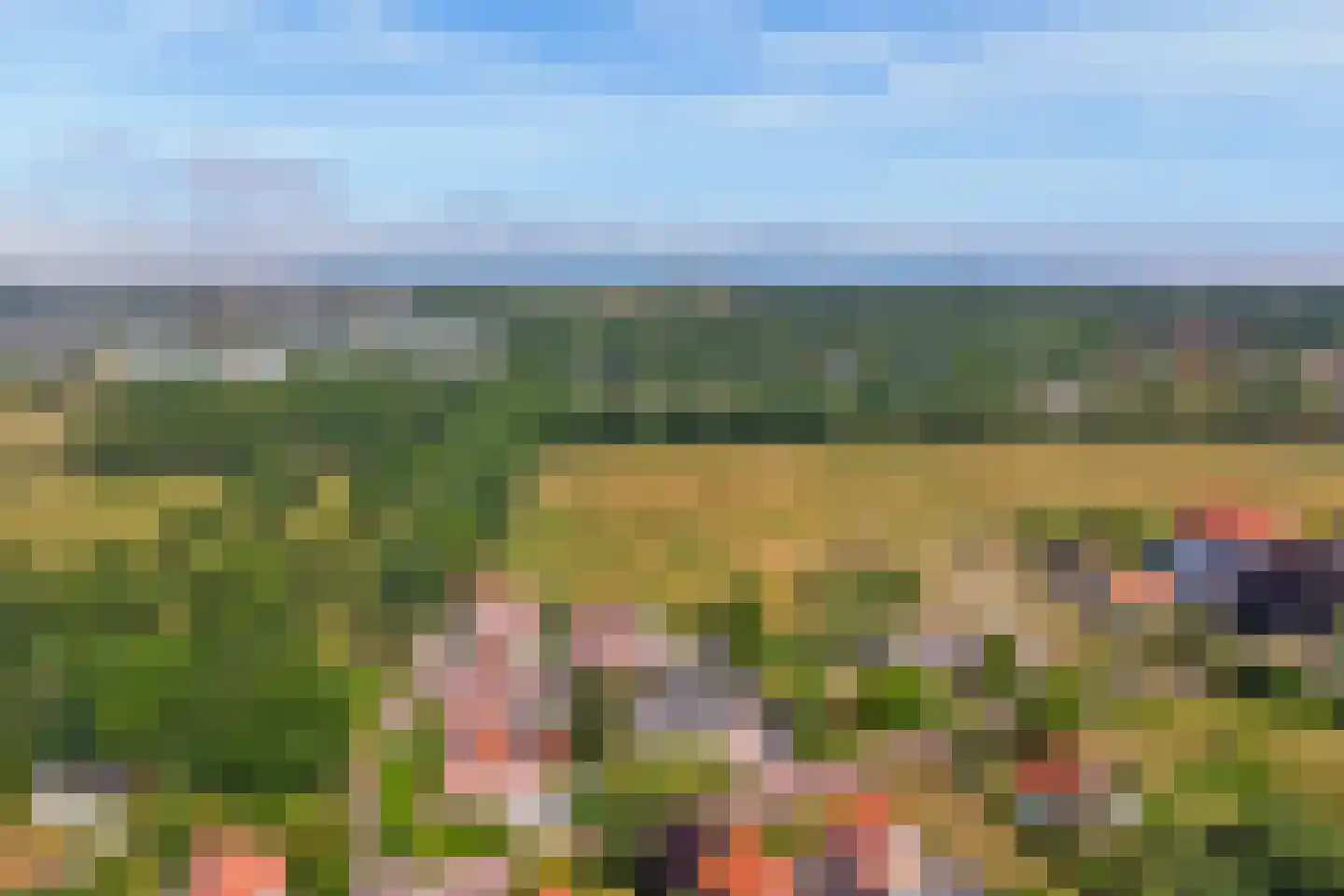 Hogezoom 105 a Renesse thumbnail 54