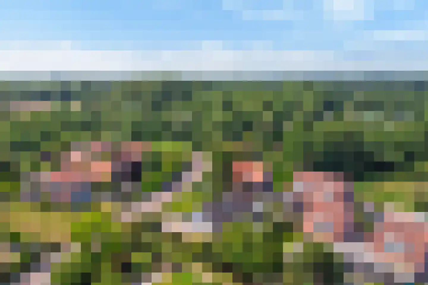 Hogezoom 105 a Renesse thumbnail 56