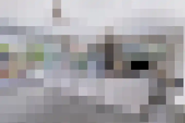Hogezoom 113 Renesse thumbnail 10