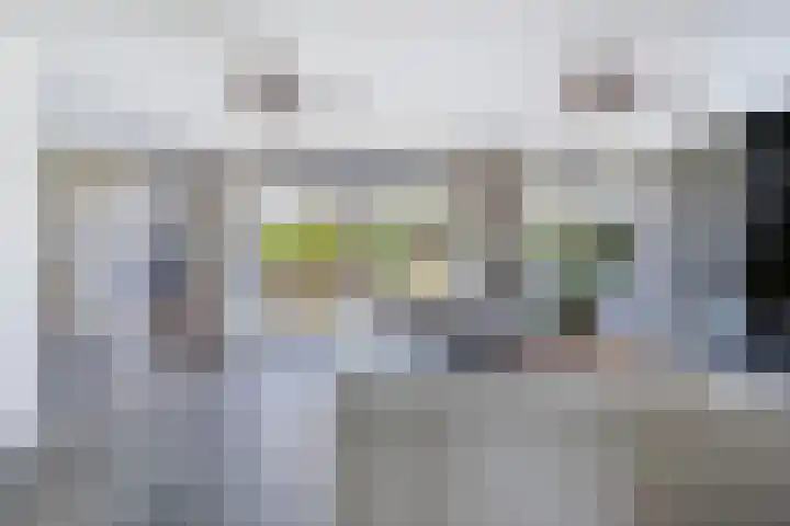Hogezoom 113 Renesse thumbnail 11