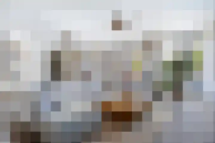 Hogezoom 113 Renesse thumbnail 12