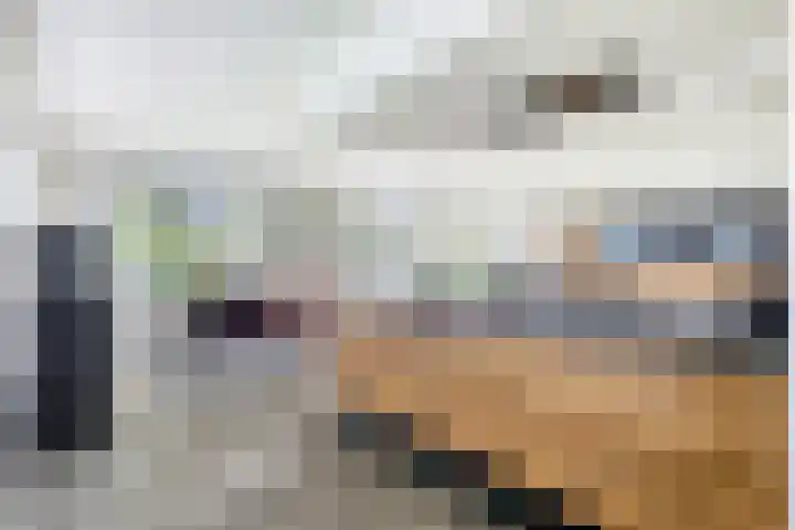 Hogezoom 113 Renesse thumbnail 13