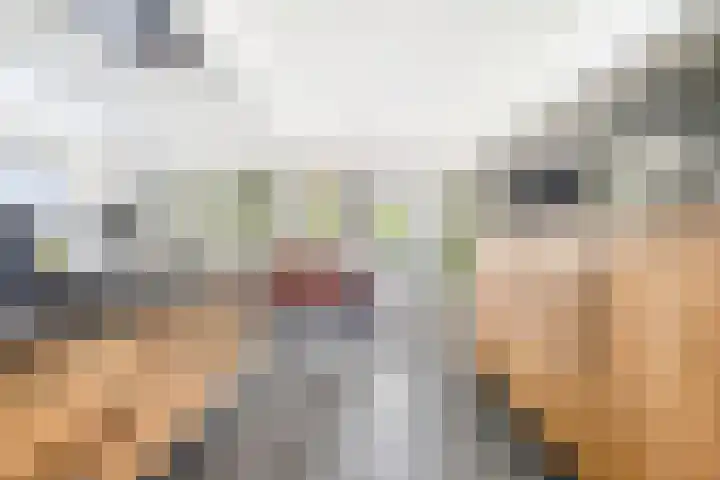 Hogezoom 113 Renesse thumbnail 15