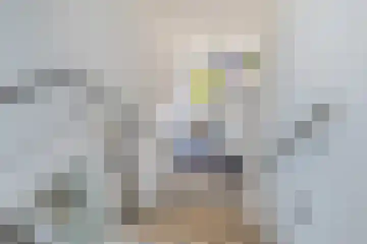 Hogezoom 113 Renesse thumbnail 26