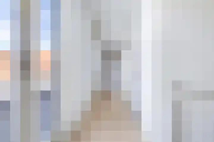 Hogezoom 113 Renesse thumbnail 27
