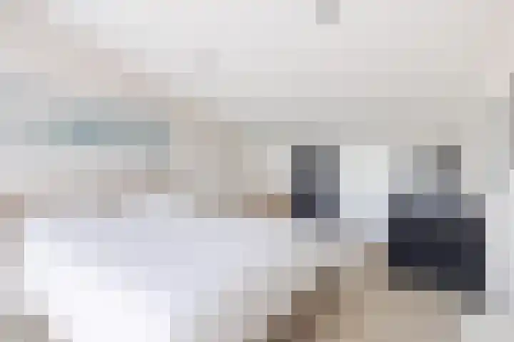 Hogezoom 113 Renesse thumbnail 30