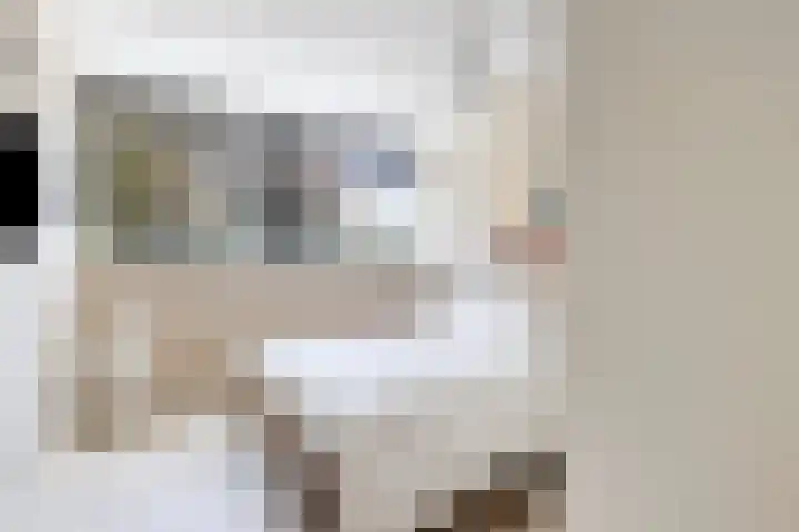 Hogezoom 113 Renesse thumbnail 32