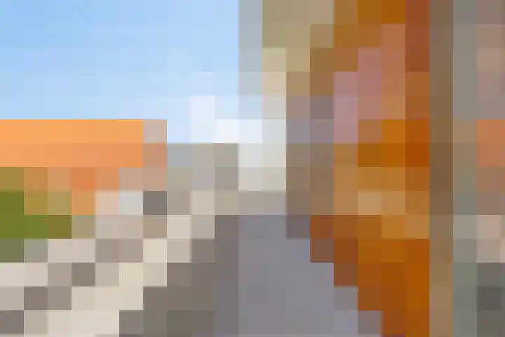 Hogezoom 113 Renesse thumbnail 36